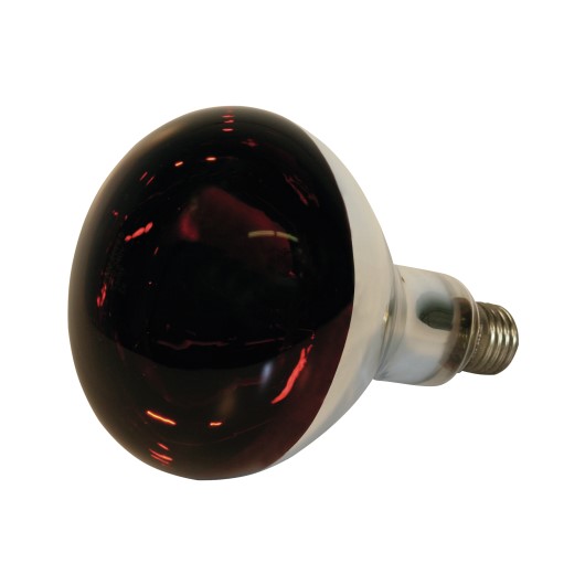 Infrarot-Lampe, 150 W - rot